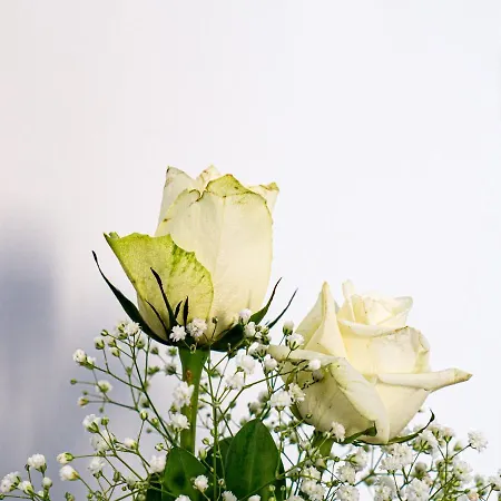 Oda ve Kahvaltı Birose 4*