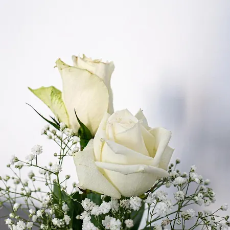 Birose Oda ve Kahvaltı 4*