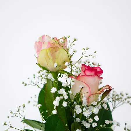 Alojamento de Acomodação e Pequeno-almoço Birose Otranto