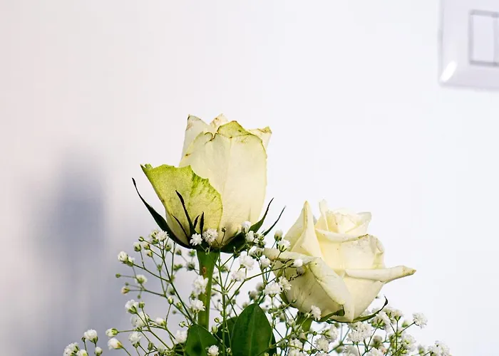 Nocleg ze śniadaniem Birose 4*