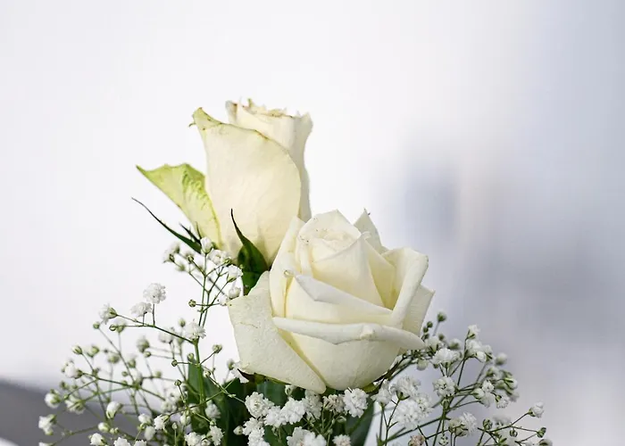 Birose Nocleg ze śniadaniem 4*