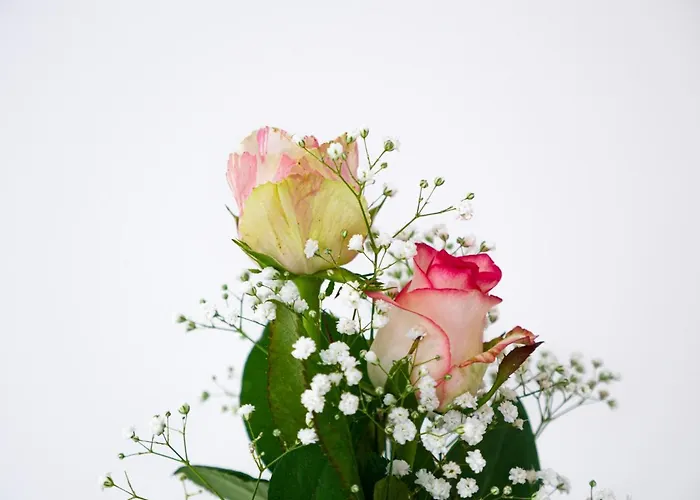 Nocleg ze śniadaniem Birose Otranto